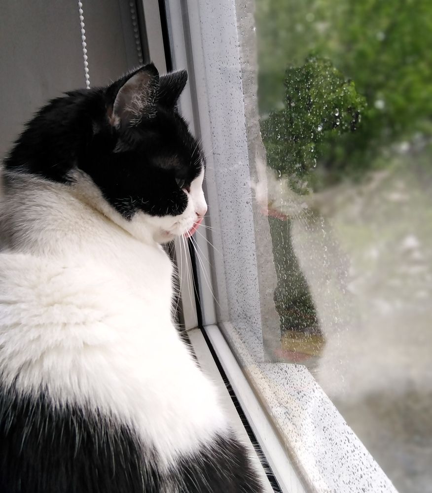 Photograph by Екатерина Чеснокова