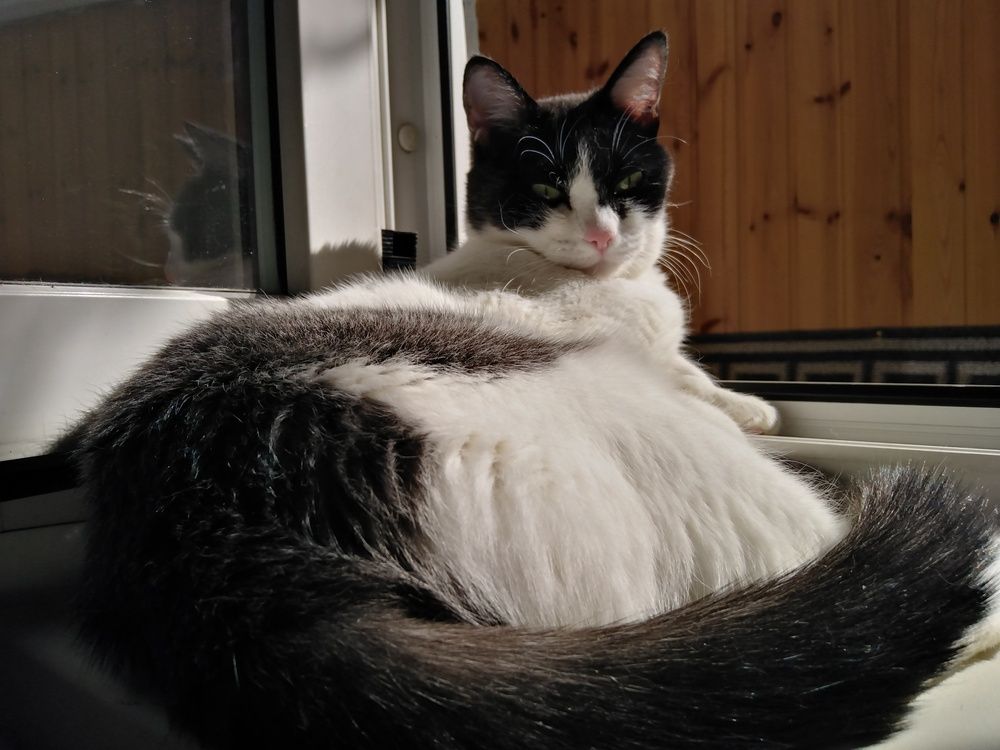 Photograph by Екатерина Чеснокова