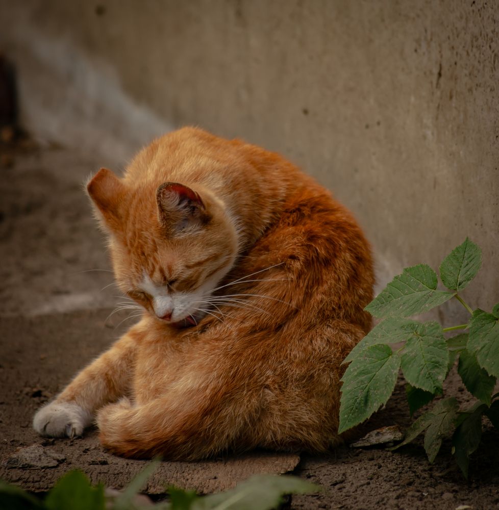 Photograph by Ольга Сафронова