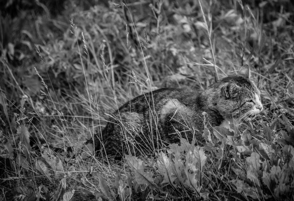 Photograph by Ольга Сафронова