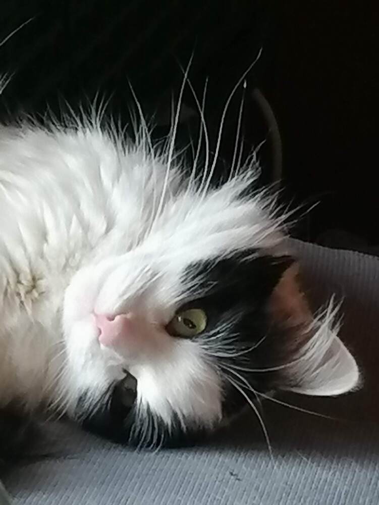 Photograph by Inese Firsova