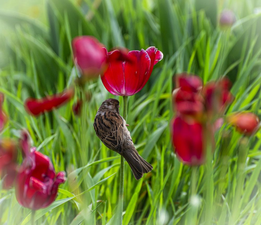 Photograph by Сергей Басов