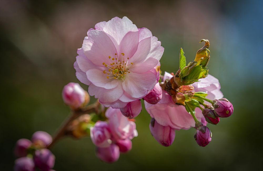 Photograph by Сергей Басов