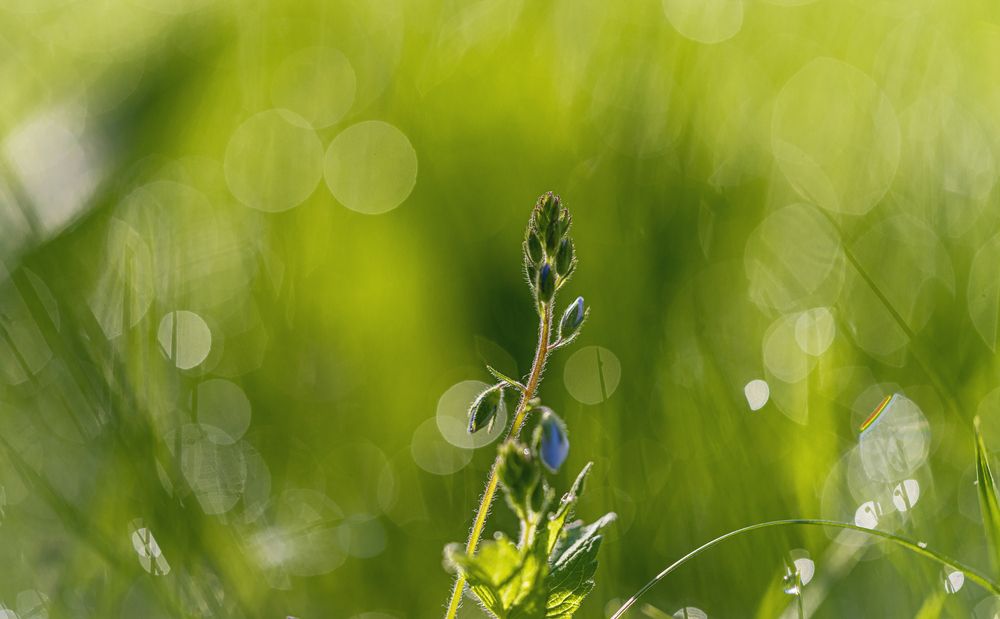 Фотография автора Сергей Басов