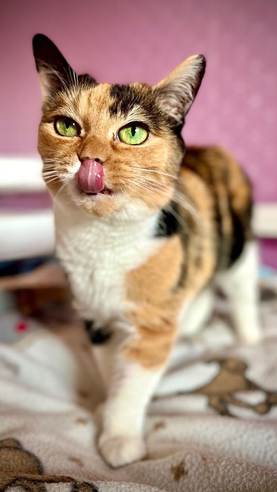 Photograph by Ekaterina Chernyshova