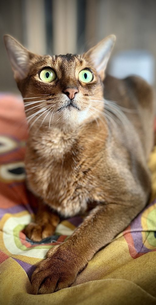 Photograph by Ekaterina Chernyshova