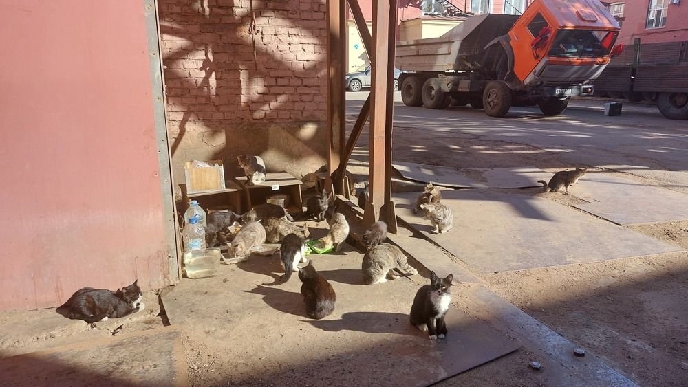 Фотография автора Максим Егоров