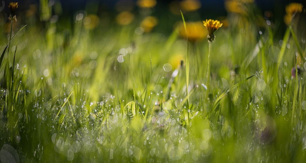 Photograph by Сергей Басов