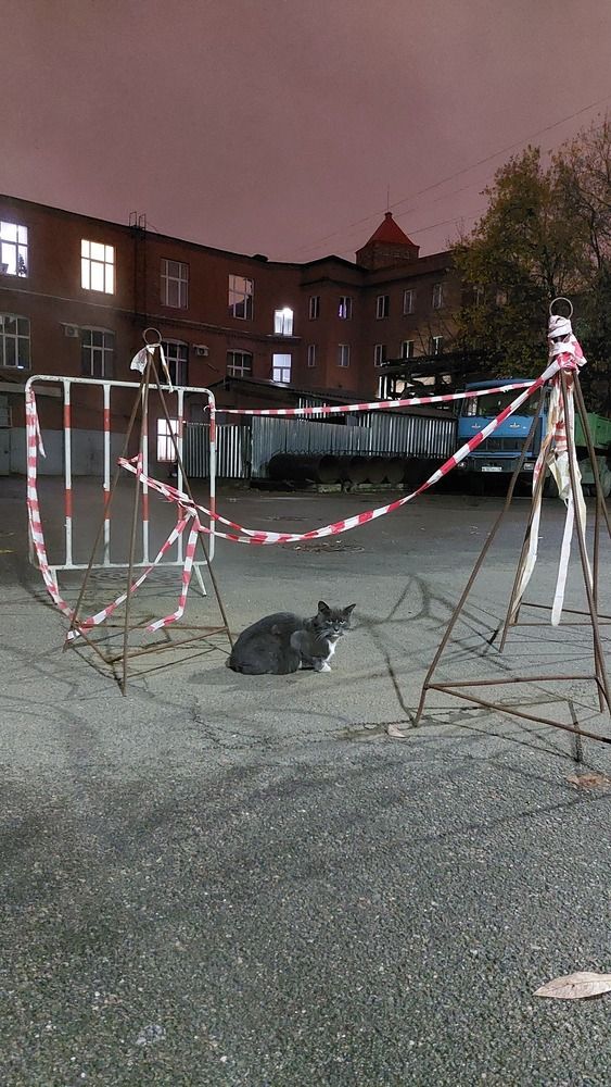 Фотография автора Максим Егоров