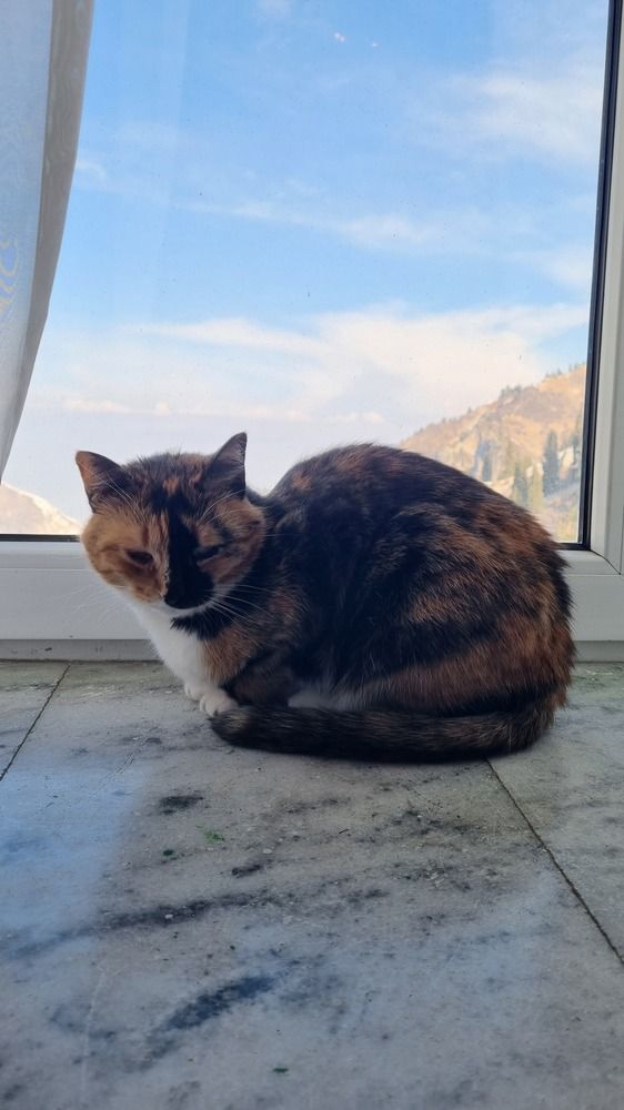 Фотография автора Марина Карасева