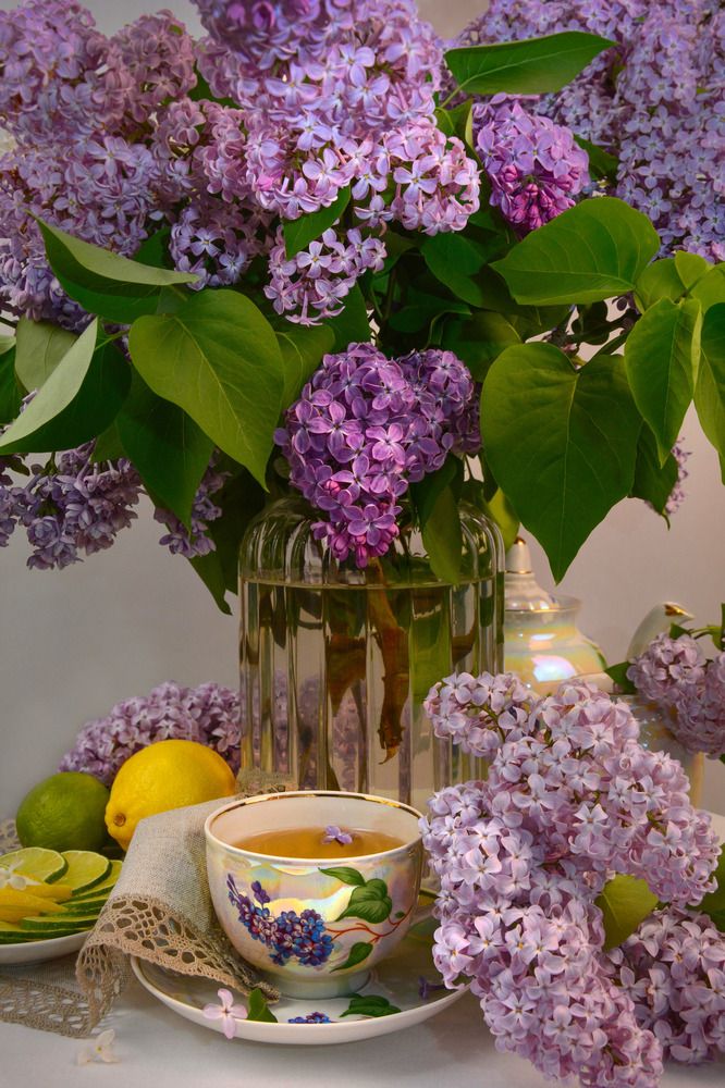 Photograph by OLGA LIZ