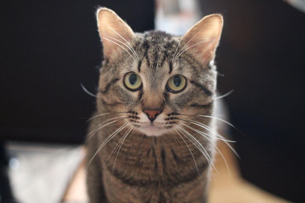 Photograph by Ekaterina