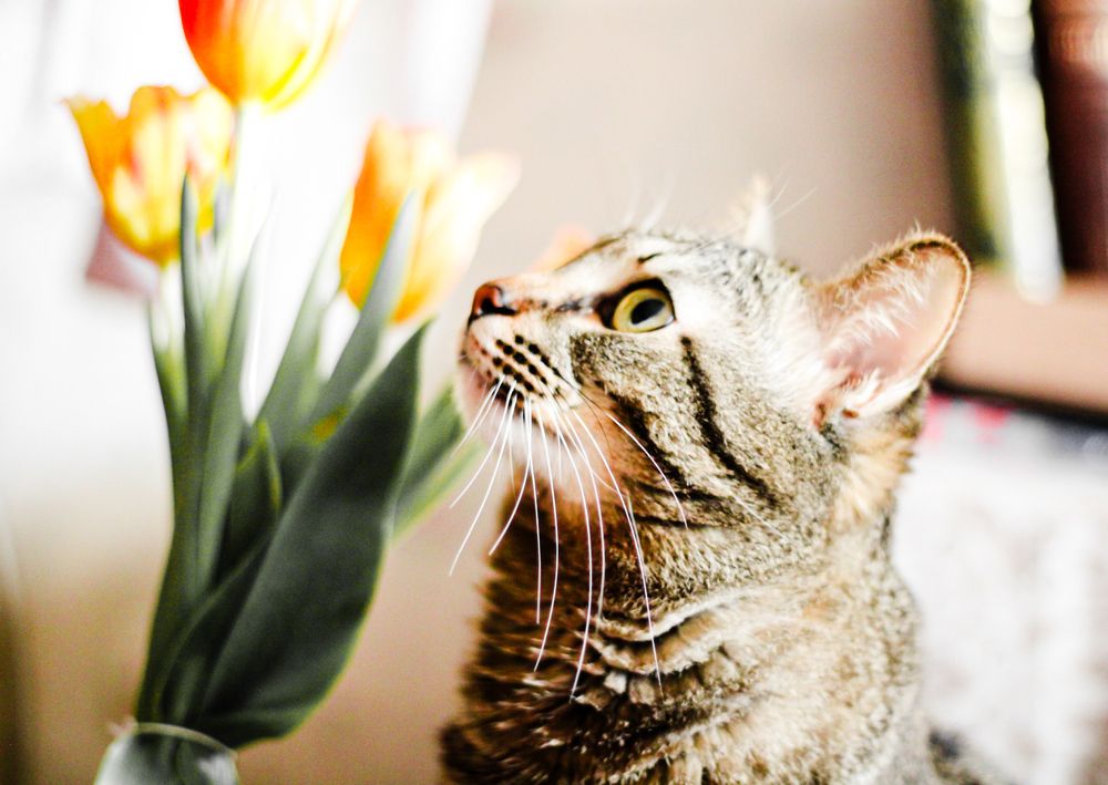 Photograph by Ekaterina