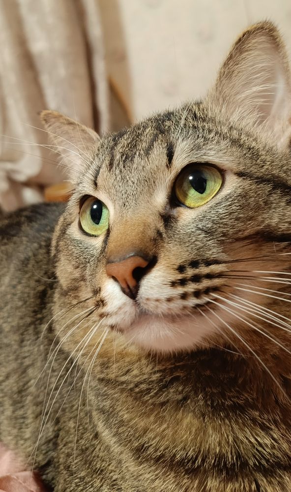 Photograph by Ekaterina