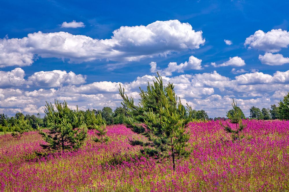 Photograph by Владимир Остапенко