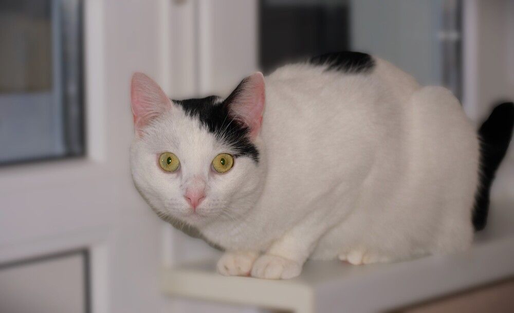 Photograph by Людмила Ваганова