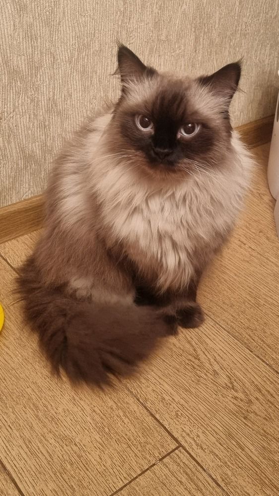 Фотография автора Марина Карасева