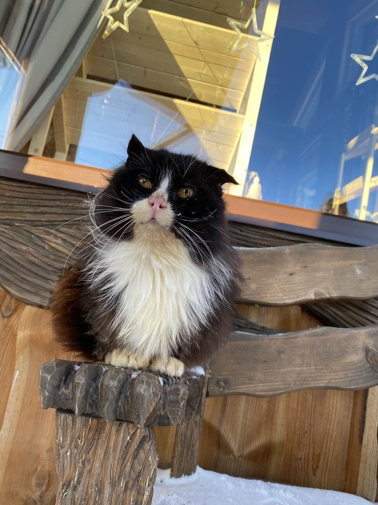 Photograph by Вадим Качанов