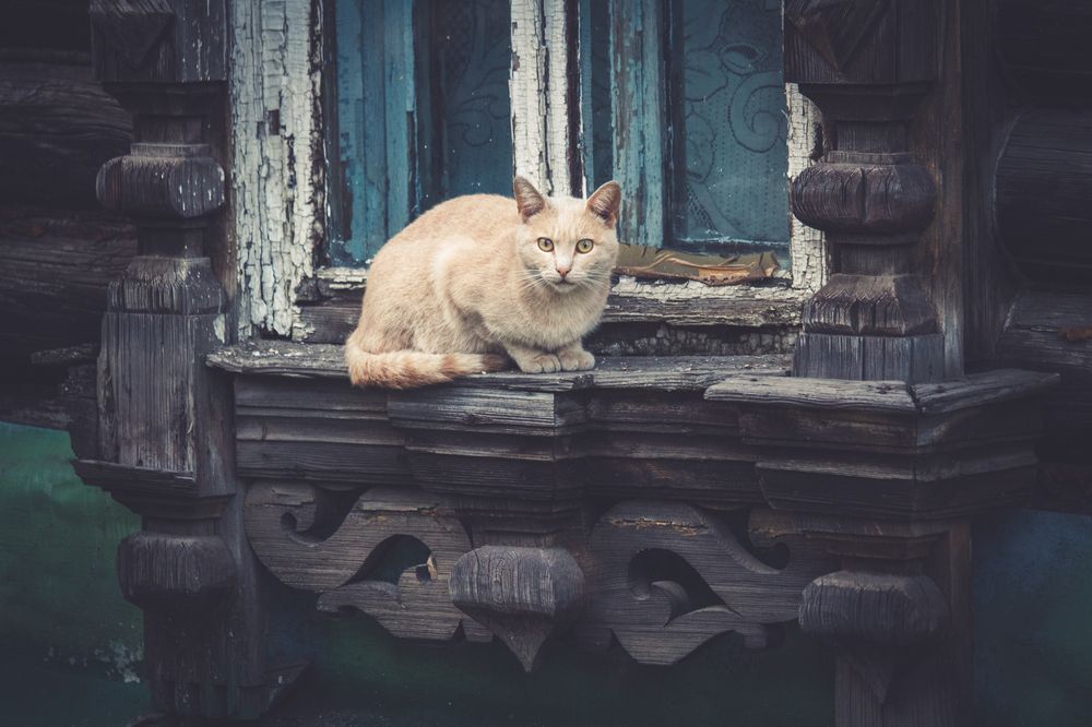 Photograph by Tatiana Shtun