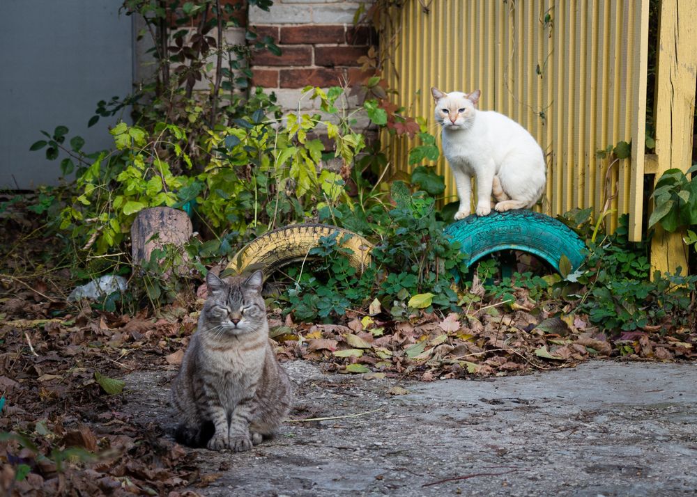 Photograph by Tatiana Shtun