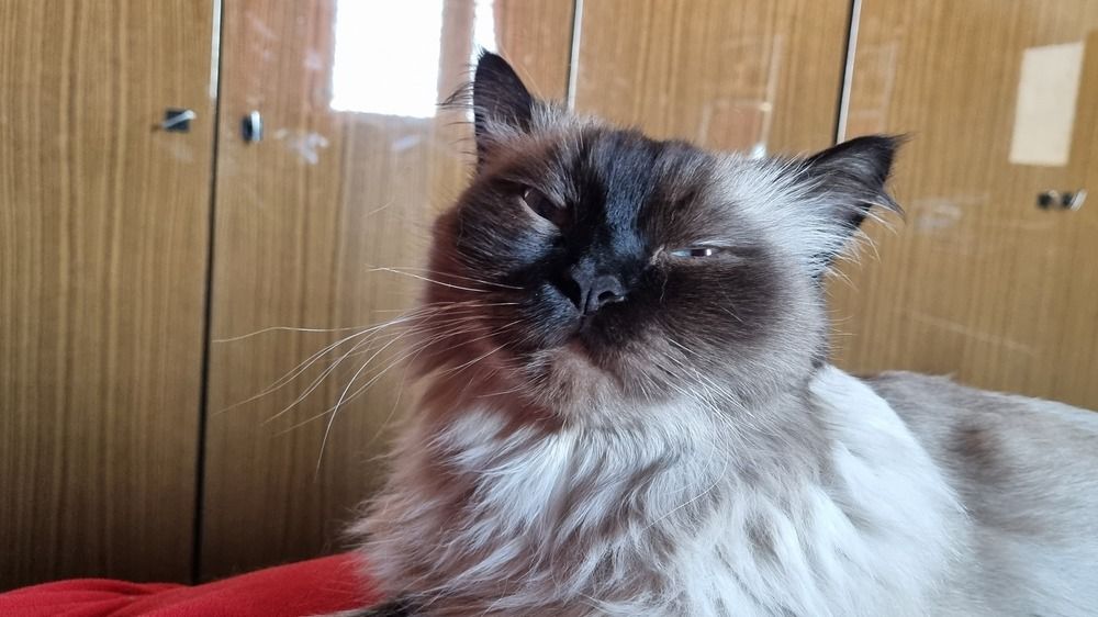 Фотография автора Марина Карасева