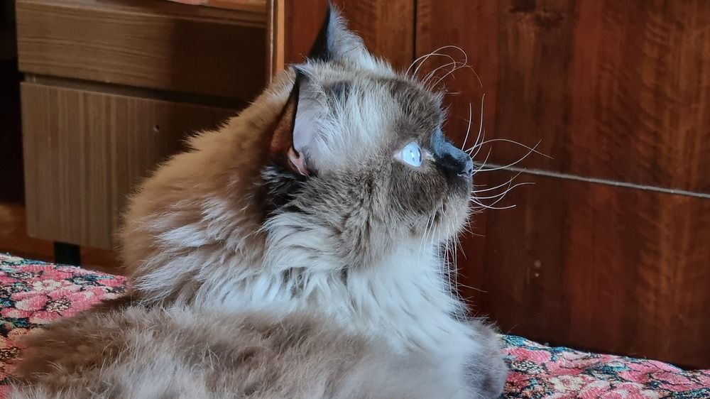 Фотография автора Марина Карасева