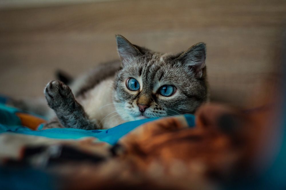 Photograph by Любовь Иванова