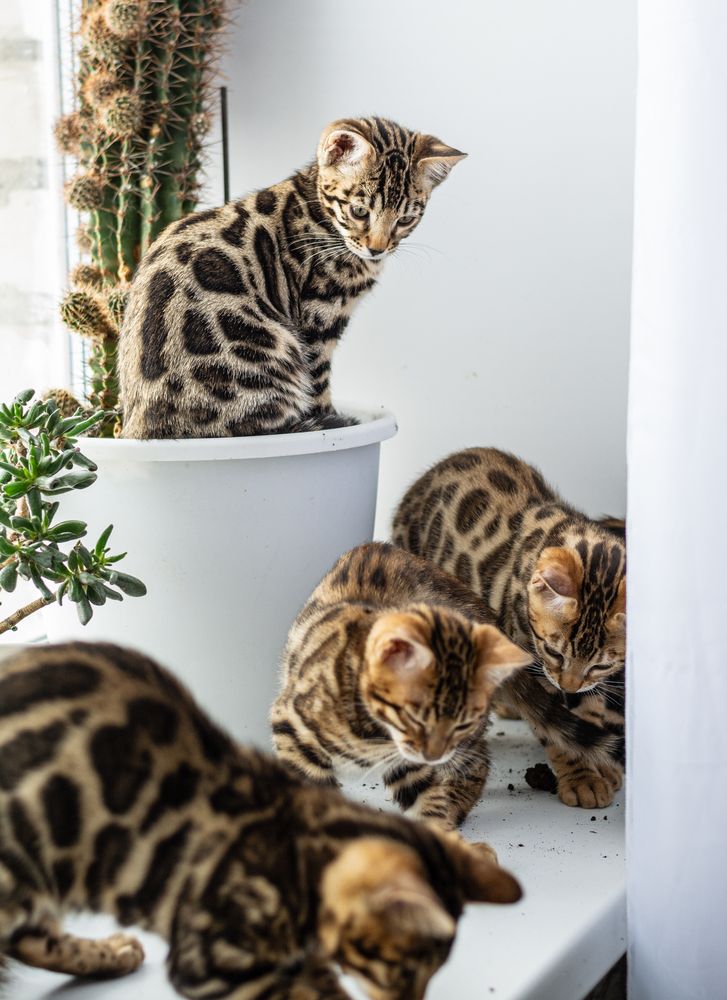 Photograph by Миша Азиатцев