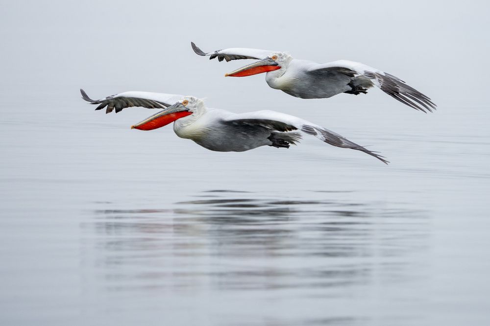 Photograph by Michał Kądziołka