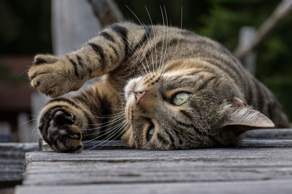 Photograph by Юлия Куликова