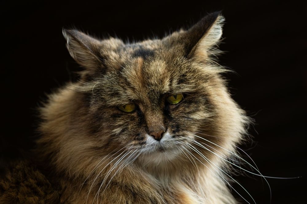 Photograph by Юлия Куликова