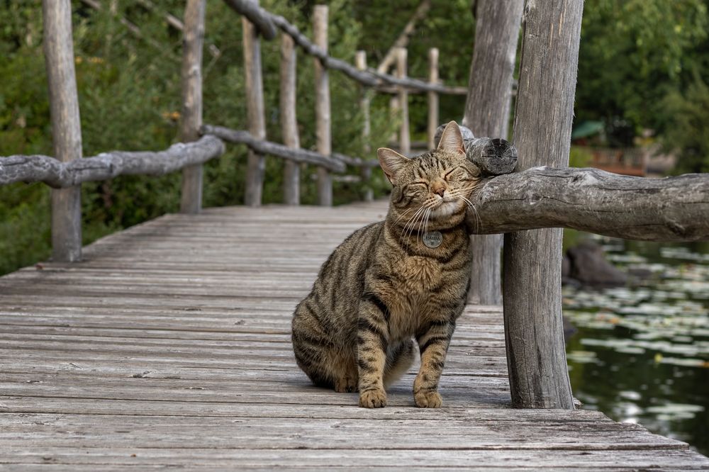 Photograph by Юлия Куликова