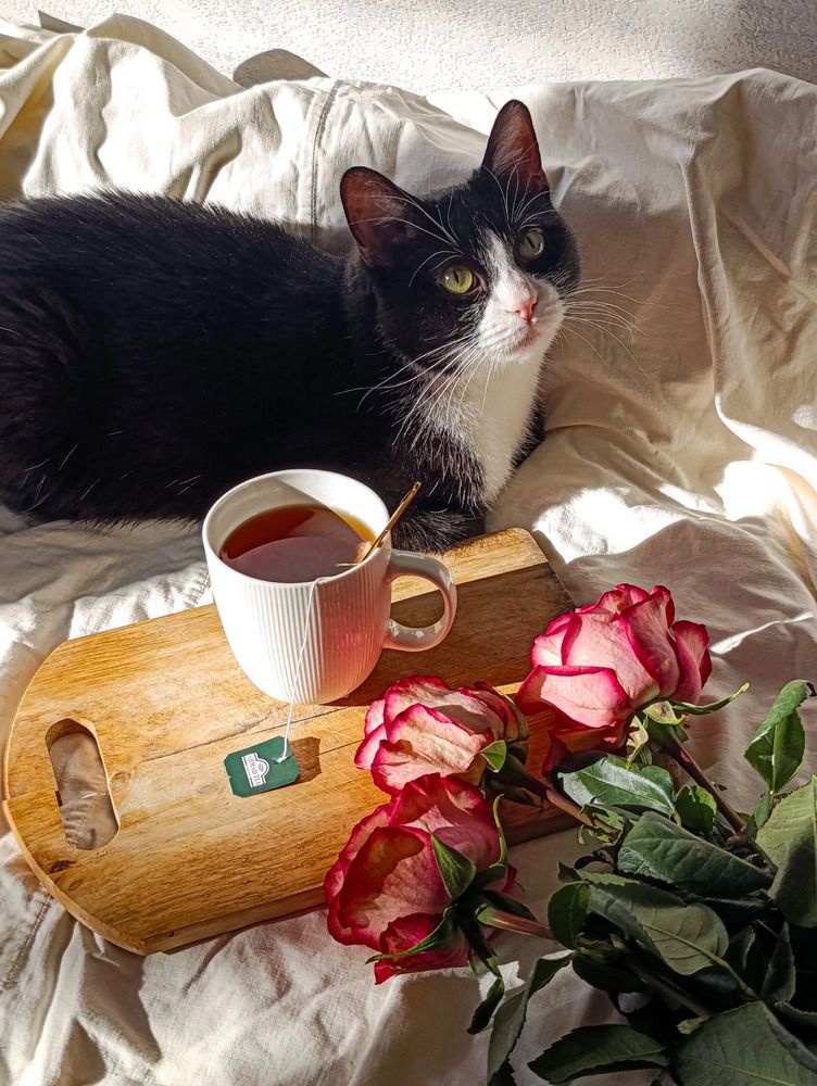 Photograph by Татьяна Иванеева