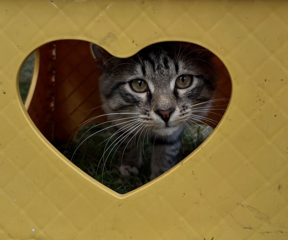 Photograph by Ольга Филатова