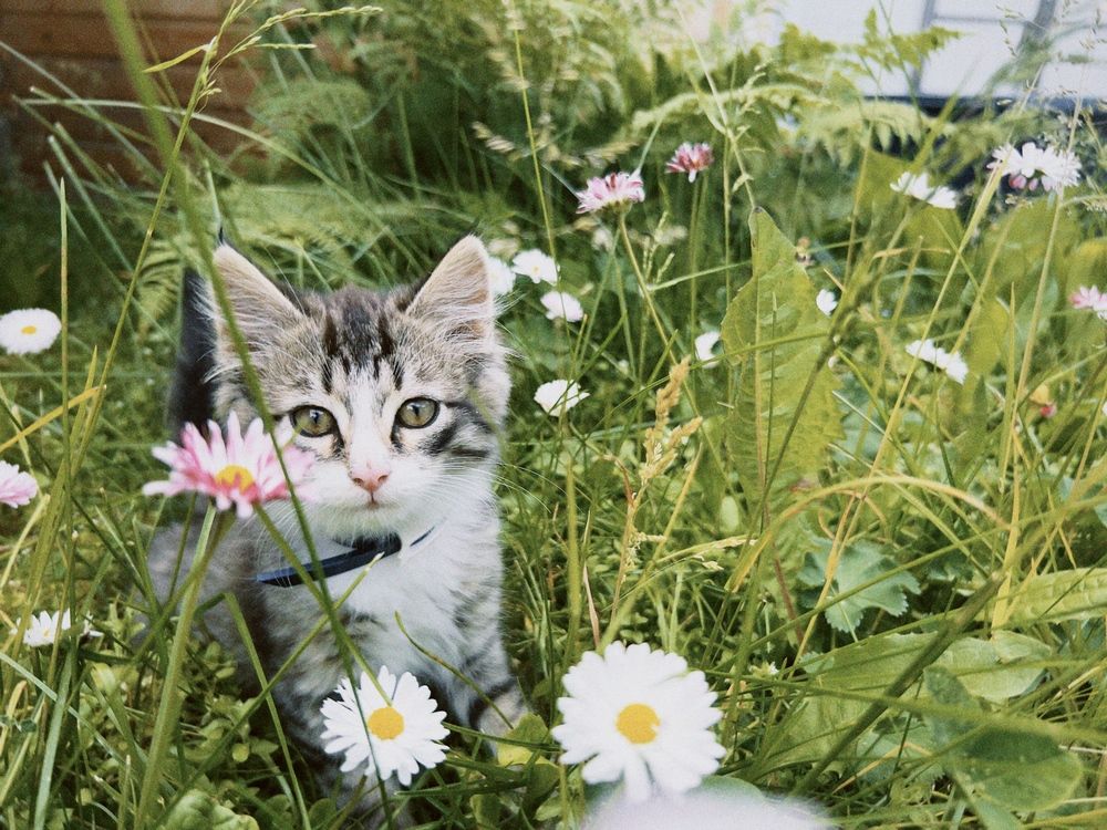 Photograph by Ольга Филатова