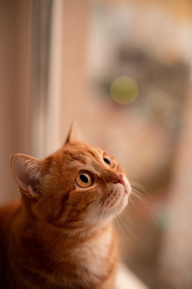 Photograph by Полина Коткина