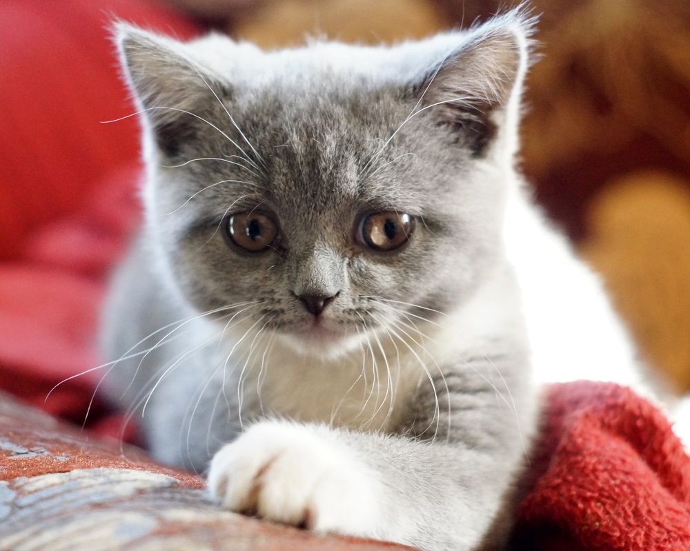 Photograph by Юля Хатыпова