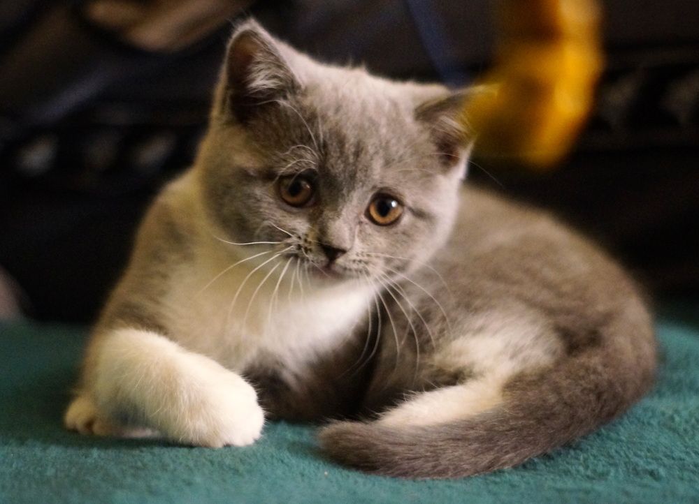 Photograph by Юля Хатыпова