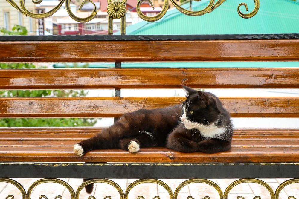 Photograph by Ксения Левченко