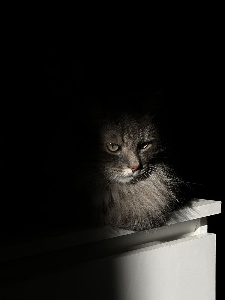 Photograph by Сергей Антонов