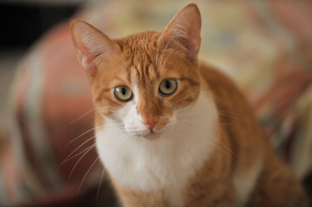 Photograph by Kaouche Mohamed