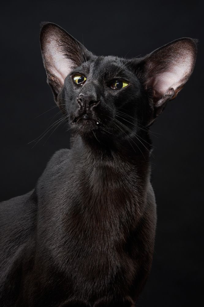 Photograph by Юлия