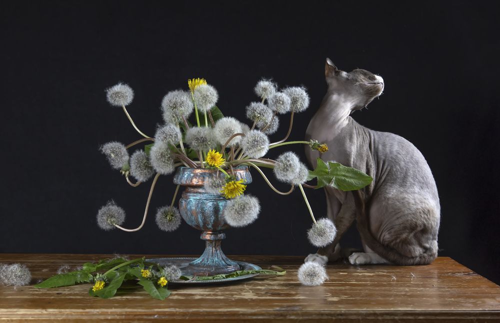 Photograph by Татьяна Феденкова