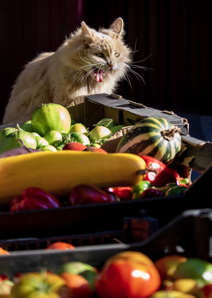 Photograph by Tatiana Shtun