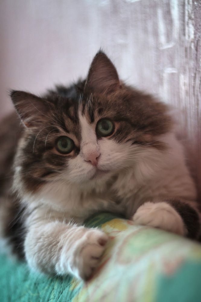 Photograph by Игорь Шамин