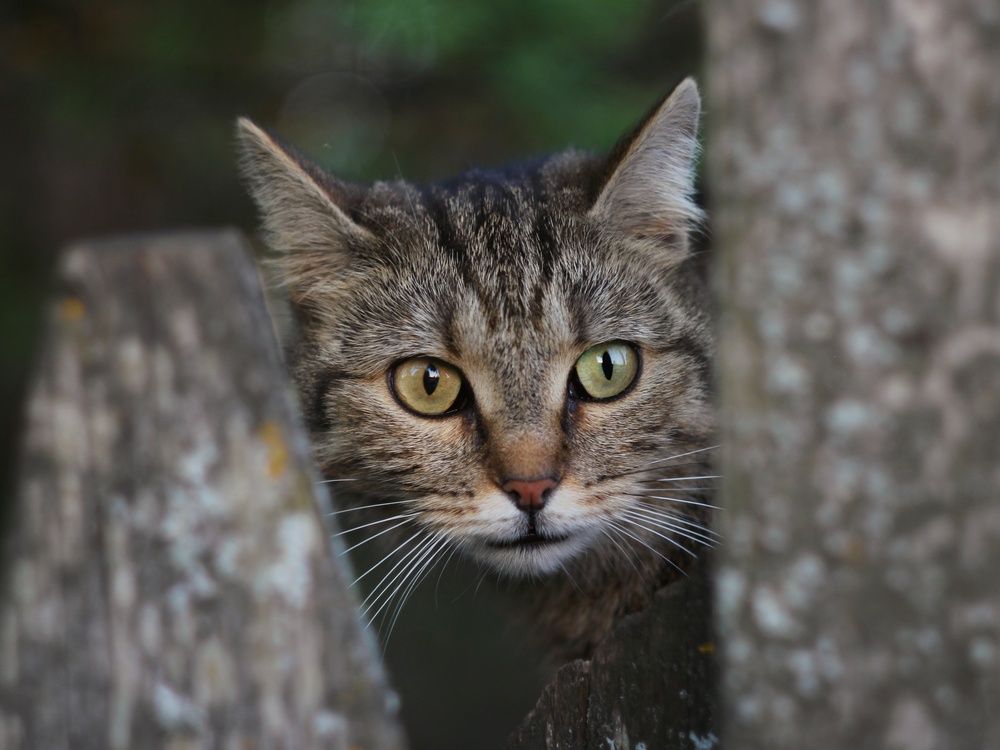 Photograph by Андрей Шестаков