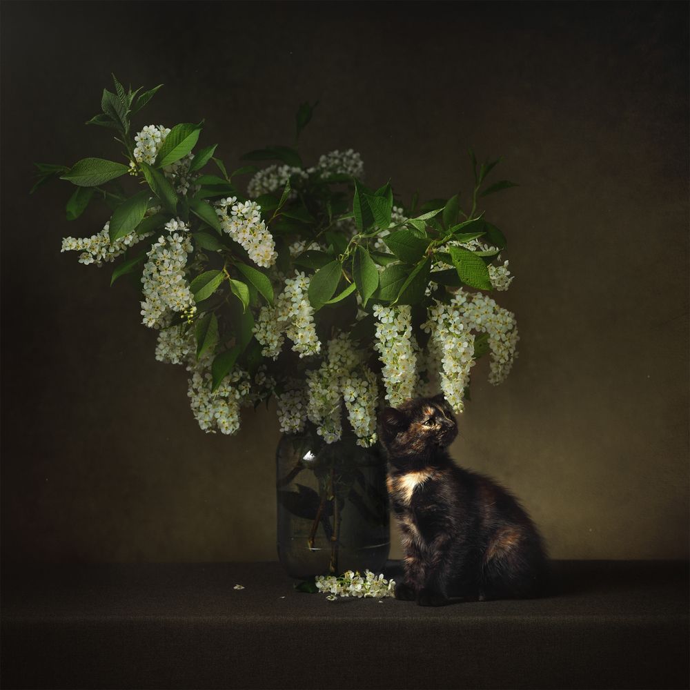 Photograph by Алла Нургалеева