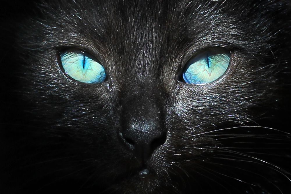 Photograph by Екатерина Пантелеева