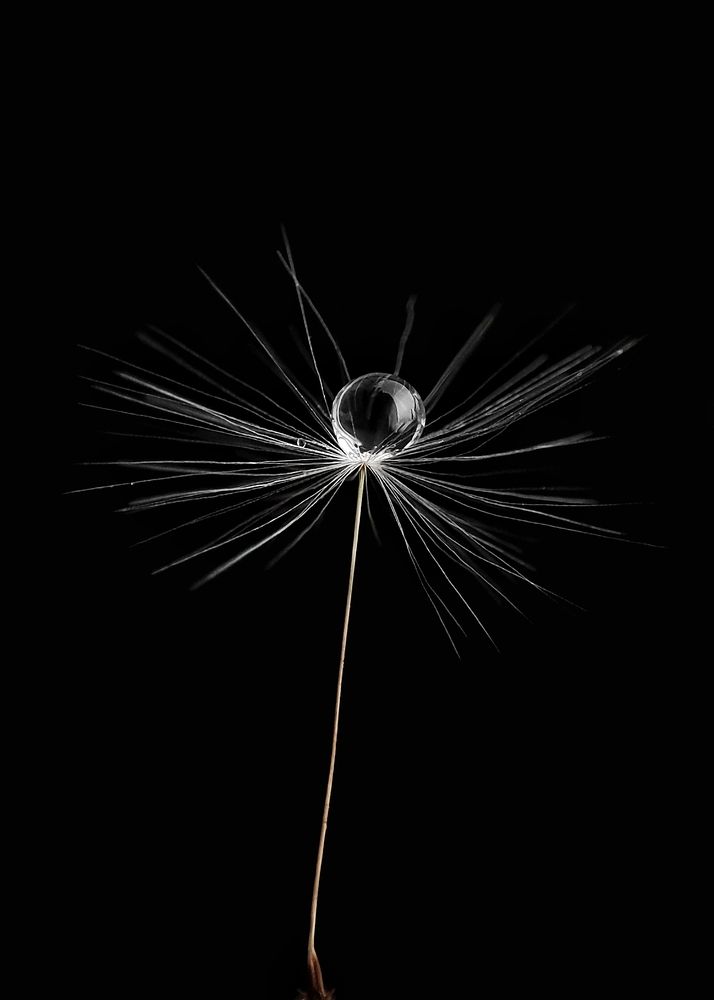 Photograph by Дина Желанова