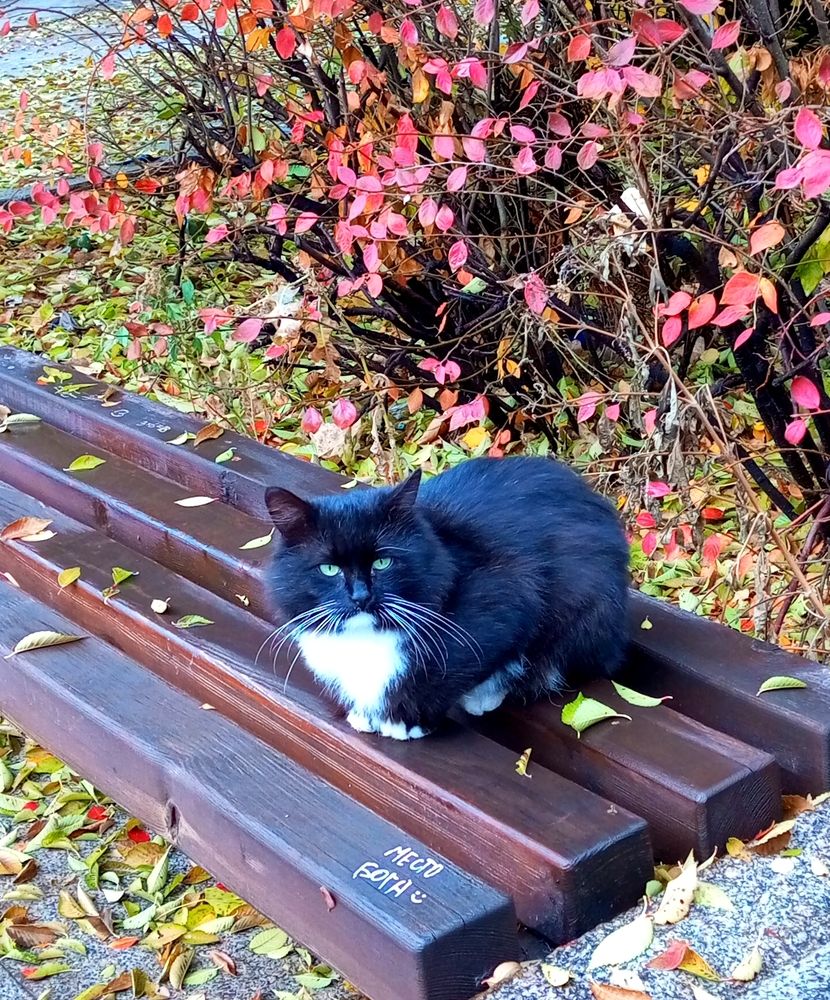 Photograph by Марина Ткаченко